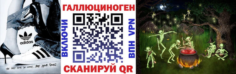 Галлюциногенные грибы Psilocybe  где продают наркотики  блэк спрут онион  Пестово 
